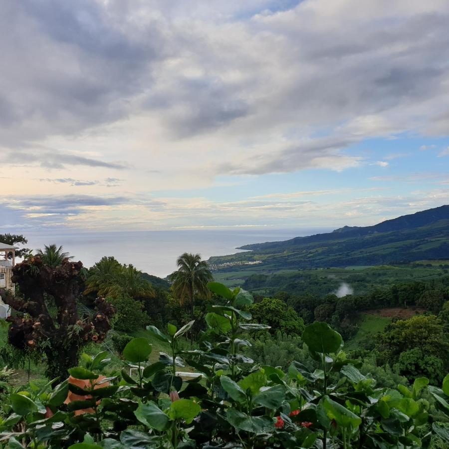 Le Hameau Du Morne Des Cadets Villa Fond-Saint-Denis Ngoại thất bức ảnh