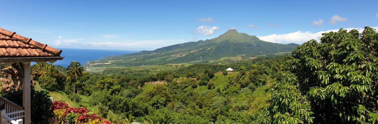 Le Hameau Du Morne Des Cadets Villa Fond-Saint-Denis Ngoại thất bức ảnh